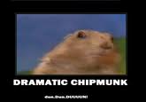 Dramatic Chipmunk | Know Your Meme via Relatably.com