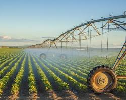 Image of Irrigation in crop production