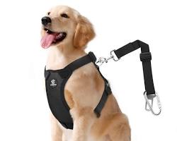 VavoPaw Dog Vehicle Safety Vest Harness and Seatbelt