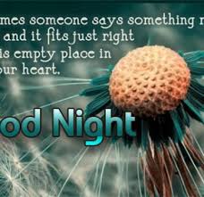 Good_Night_Friends_Quotes_In_Hindi-5-290x280.jpg via Relatably.com