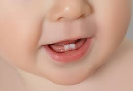 bebek dişleri ile ilgili görsel sonucu