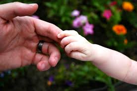 Resultado de imagem para adotar