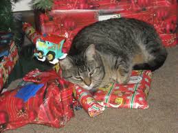 Image result for cats with christmas gifts under the tree