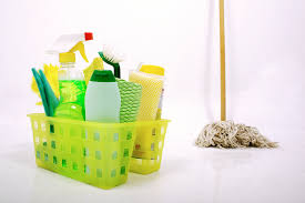 Alexandria Cleaning Services