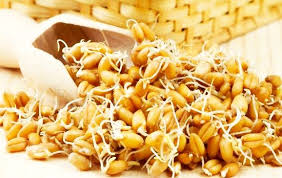 Imagini pentru germeni cereale