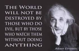 FIGHT FOR YOUR FREEDOM | Quotes N Stuff | Pinterest | Einstein and ... via Relatably.com