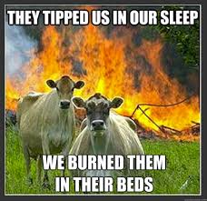 Julieann Thomas: Friday Funnies - Evil Cows via Relatably.com