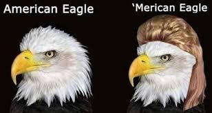 Happy Murica Day from your cousins up North - here&#39;s some &#39;Merican ... via Relatably.com