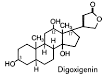 Structure of digoxigenin