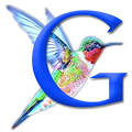 percakapan dan pembahasan optimasi SEO Algoritma google hummingbird terbaru