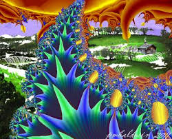 Image result for fractals in nature