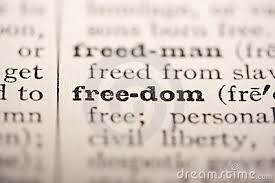 Image result for freedom