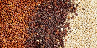 Image result for Quinoa