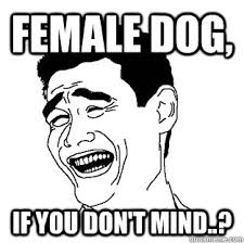 female dog, if you don&#39;t mind..? - Meme - quickmeme via Relatably.com