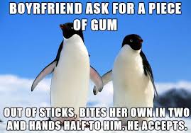 Long Term Relationship Penguin – 8 Pics | WeKnowMemes via Relatably.com