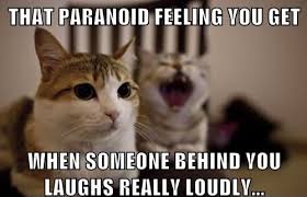 25 funny cat memes, part 4 - CatTime via Relatably.com