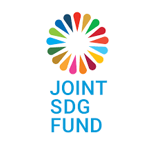 Joint SDG Fund: A Time to Act
