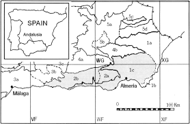 Rupicolous communities of the southeast of the Iberian Peninsula