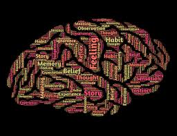 Uncovering the Intricacies of the Human Brain - Insights from The Okanagan Naturopath - 1