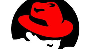 Image result for red hat