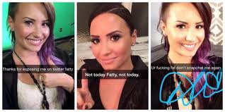 Poot Lovato: A Demi Lovato Tumblr meme explainer | Fusion via Relatably.com
