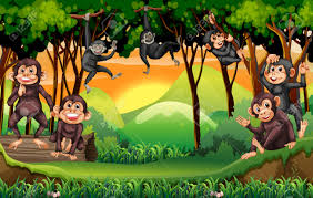 Image result for Images of monkeys playing with themselves in the trees