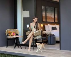 Choose pet-friendly hotel tip for keeping pet in hotel room