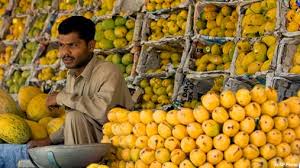 「india pakistan mango」的圖片搜尋結果