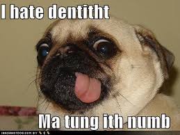 Ma tung ith numb. | Dental Memes | Pinterest | Dentists, Numb and ... via Relatably.com
