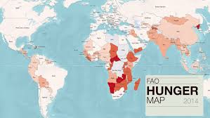 Resultado de imagem para a fome no mundo mapa