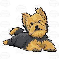 Image result for free clipart yorkie puppy