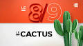 le grand cactus youtube from fr-fr.facebook.com