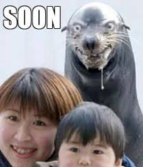 Friendly-Seal-Best-SOON-Memes-W630.jpg via Relatably.com