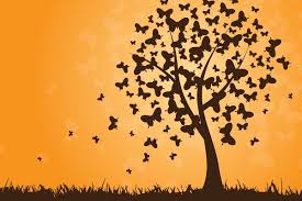 Image result for butterflies on a tree