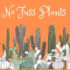 No Fuss Plants