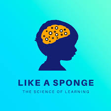 Like a Sponge