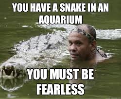 You Have a snake in an aquarium You must be fearless - Unimpressed ... via Relatably.com