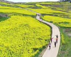 청산도 슬로길 해안산책로, AI로 생성
