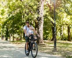 Image of Casual cyclist riding around the park