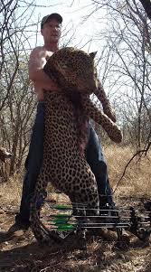 Image result for palmer cecil the lion
