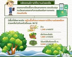 รูปภาพการให้ความช่วยเหลือผู้ประสบภัย