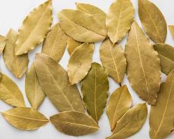 Image of Bay leaves