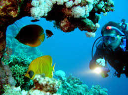 Lakshadweep scuba diving