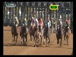 Image result for The 2015 Blue Grass Stakes from Keeneland