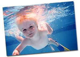 Image result for images of swimming