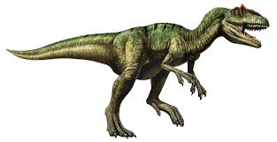 Image result for allosaurus