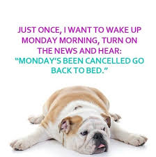 Monday Humor on Pinterest | Mondays, Monday Again and Gifs via Relatably.com