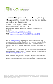 (PDF) A survey of the genus Festuca L. (Poaceae) in Italy. I. The ...