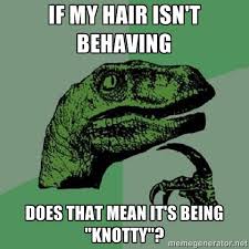 If my hair isn&#39;t behaving Does that mean it&#39;s being &quot;knotty ... via Relatably.com