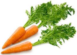 Картинки по запросу морковь